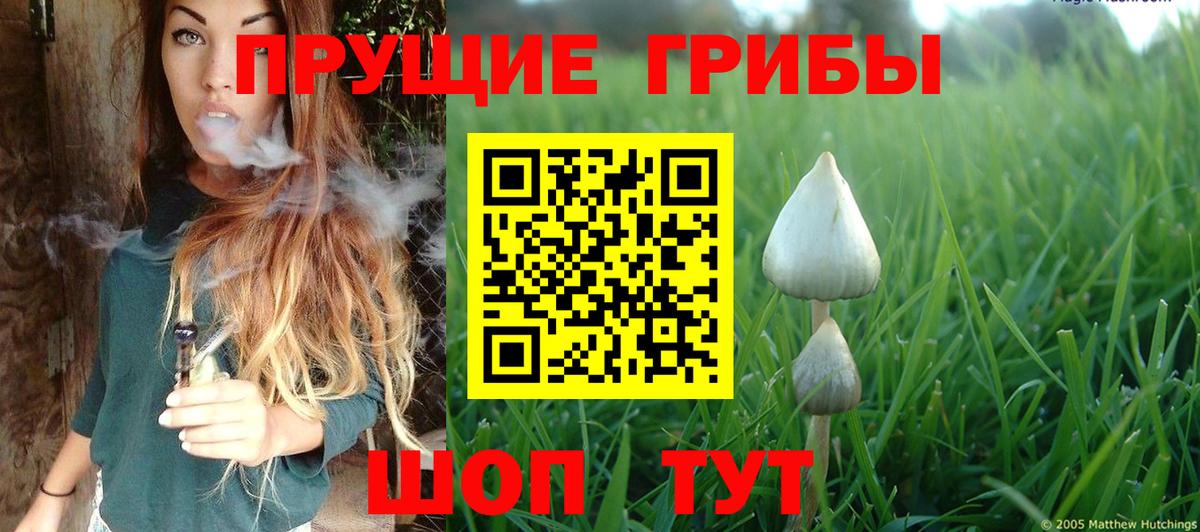 Псилоцибиновые грибы прущие грибы Выкса